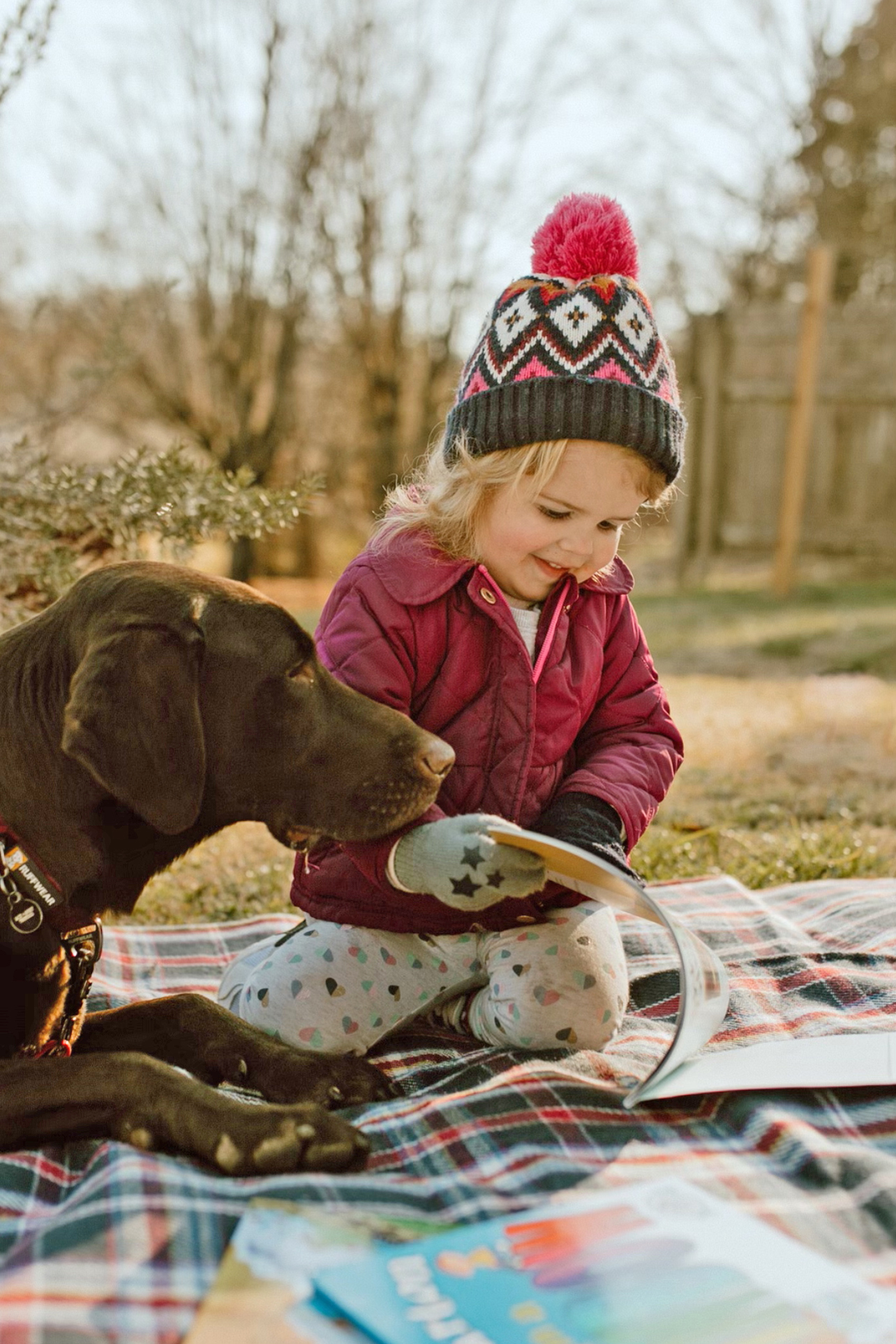Chocolate lab and young girl reading outside. 